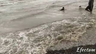 Devka beach Daman