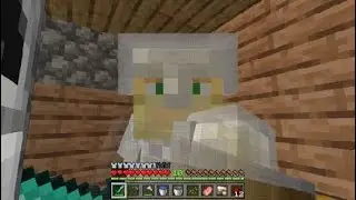 OcelotCraft EP4 - Food Problem