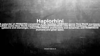 Medical vocabulary: What does Haplorhini mean