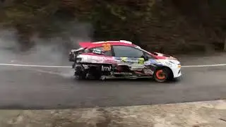 FORD FIESTA R2 MARTIN SESKS INCIDENT RALLY MONZA WRC 2020