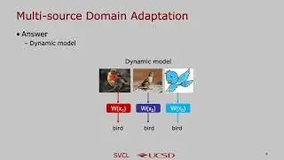 Dynamic transfer for multi-source domain adaptation