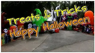 Animal Kingdom Treats and Fort Wilderness Tricks