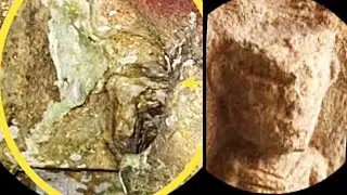 Saluwesi Indonesia 67,000 Year Old Cave Art Reveals Hidden Archon Demon Image? 