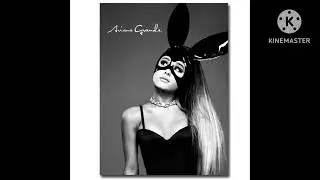 Dangerous Woman - Stems Rework PAL Pitch