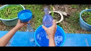 Dharithawa Part 2 - Grade 2