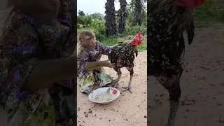 #donkey  sacred from monkey ad cock#viralvideo