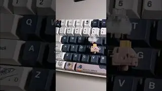Outemu Silent Peach V2 vs TTC Frozen Silent V2 #mechanicalkeyboard #TTC #outemu  #keyboard