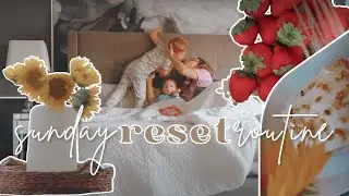 sunday reset routine | trader joe's haul, planning my week, baking, skincare