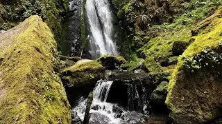 (4K UHD) HIKING HIGHLIGHTS Lower Soda Falls @ Cascadia Linn County Park! | Lebanon Sweet Home Oregon