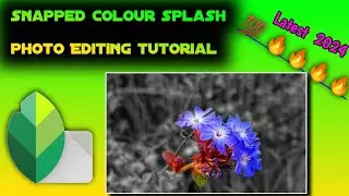 Snapseed Beginner Tutorial | selective colour | colour splash editing #snapseed #coloursplash #edit