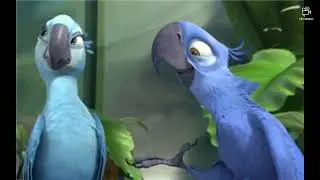 Blu And Jewel's Jet Alone