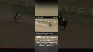 скачки 2019 и 2023 года жеребец по клички 