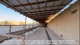 580 MLNGA 2500 M/KV FERMA SOTILADI. + 3000 M/KV MALLAK HAM BOR