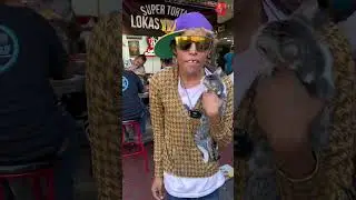 La famosa fashion french poodle