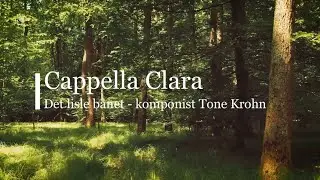 Det lisle b&aring;net excerpt Tone Krohn