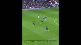 Ben Arfa goal |  Newcastle United vs Everton | #premierleague