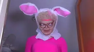 Maymo! Dogs Trick-or-Treat Compilation Funny Dogs Maymo and Friends in Halloween Costumes