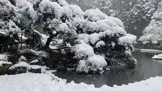 Csendes havas séta a kiotói Heian kertben, Japánban - 4K videó