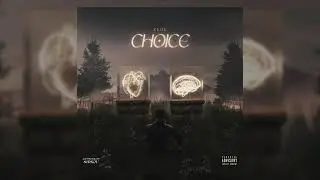 zedk - Choice