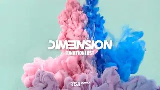 DIM3NSION - Funktionlust [FSOE]