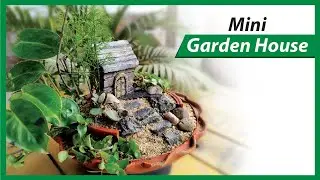 Mini Garden House Using Common House Plants, Clay Pot & Waste Material |Mini landscape