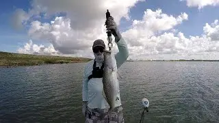 Speckled Trout And Reds In Texas