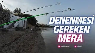 Balık ve Huzur!!  Zil Sesleri Eşliğinde Kamp ve Balık Avı @İzmir Körfez Balıkçıları #izmir #balikavi