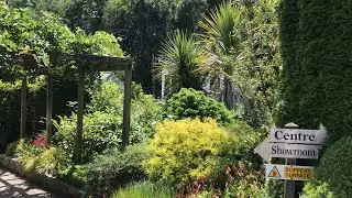 Bucket List Ireland - Magic World Of Teddy Bears