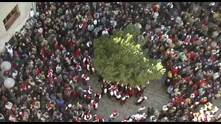 Festa del pi