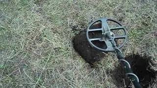 MOV07197