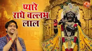 प्यारे राधे वल्लभ लाल ~ Bageshwar Dham Sarkar Bhajan | Most Popular Radhe Krishna Bhajan