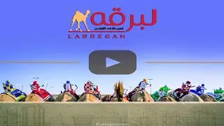 البث المباشر | منافسات الجذاع العامة (السباق المحلي السادس 2026) ميدان الشحانية -صباح 10-01-2026
