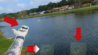 Which Bait Should I Throw? (Pre Spawn Bass Fishing)