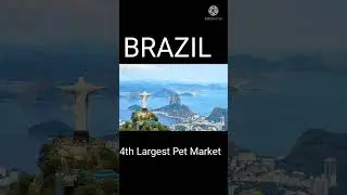 Sequent Scientific share latest news | #shorts
