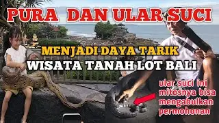 ADA ULAR SUCI ? SITUASI WISATA TANAH LOT BALI