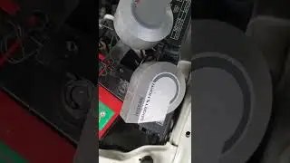 NISSAN Sport horn 12V