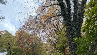 Riding on 9W - NY