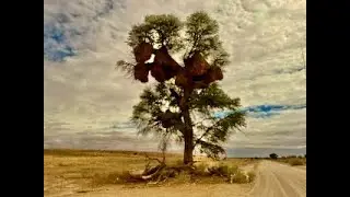 KALAHARI ROAD TRIP JAN 2025 PRT 2