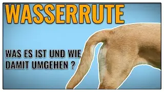 Was ist eine Wasserrute? - TGH 380