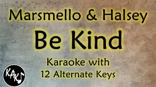 Be Kind Karaoke - Marshmello & Halsey Instrumental Original Lower Higher Male Key