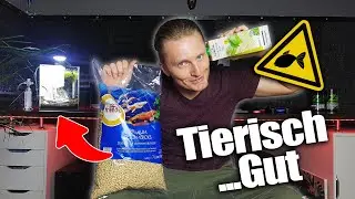 Fischfutter 🐠 + Sauerkrautsaft essen (Cornflakes) | ShitBrain68