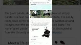 ANIMALS THAT SUPPORT GOOGLE AR AND NEW GOOGLE FREE GAMES. PLUS A BONUS TIP #Argumented Reality #maps