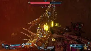 Big Encore Voraxis 🐉 | Borderlands4