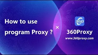 How to use Program Proxy?