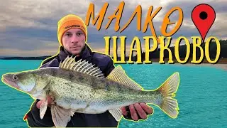 Шарковски ВАМПИРИ-ДЖИГ РИБОЛОВ на БЯЛА РИБА.
