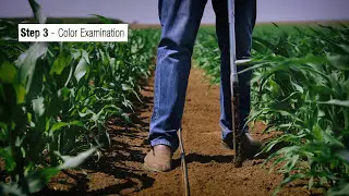 Soil Moisture Monitoring Tutorial for Netafim | by Breeze Animation
