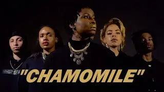 Renee Dion - CHAMOMILE