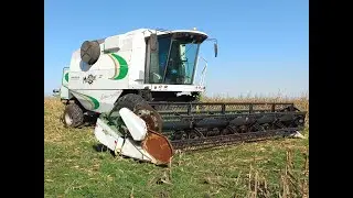 ESTRENANDO LA BLANQUITA!! COSECHANDO MAIZ con PLATAFORMA!! METALFOR 1360!