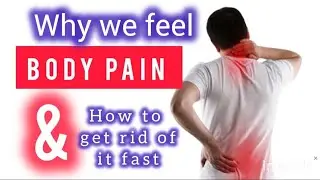 Body Pain ?Why we feel Body Pain how to get rid of it Fast ہم درد کیوں محسوس کرتے ہیں، وجہ، اور علاج
