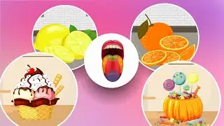 Il Senso Del Gusto | Video Educativi & Indovinelli per Bambini | Piccoli Saggi